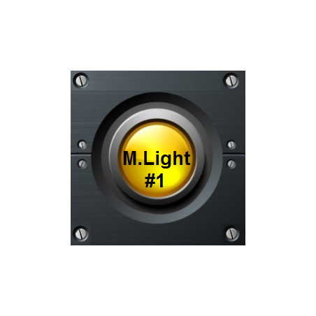 Pay for a subscription to the `M.Light № 1` program